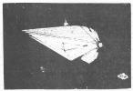 picture of a Tholian vessel in space