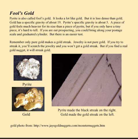 Grippy and Cormo's Rock Activity Book - Fool's Gold