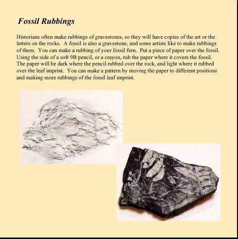 Grippy and Cormo's Rock Activity Book - Fossil Rubbing