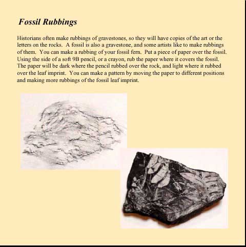 Grippy and Cormo's Rock Activity Book - Fossil Rubbing
