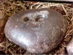 St. Fillan's stone to heal head