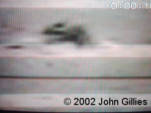 John Gillies' April 2002 sighting - picture 2