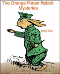 Orange Forest Rabbit Book
