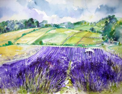 Lordington Lavender Field painting by Curtis Tappenden